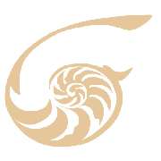 Prof. Dr. Dhom & Kollegen - Zahnarzt Ludwigshafen - LOGO