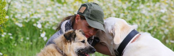 Projekt Geistreich - 5