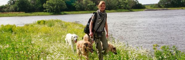 Projekt Geistreich - 6