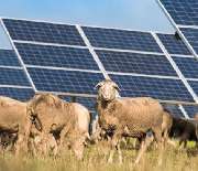 PROJEKTKANZLEI | Rechtsanwalt Sebastian Lange - 3