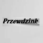 Przewdzink & Przewdzink GbR - LOGO