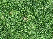 PS Dronography - Kitzrettung 2.JPG