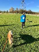 psdoglife - psdoglife