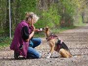 psdoglife - psdoglife