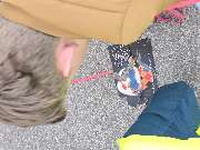 psdoglife - psdoglife