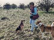 psdoglife - psdoglife