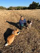 psdoglife - psdoglife