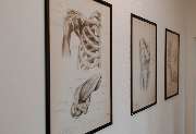 PSH - Physiotherapie - GALLERY