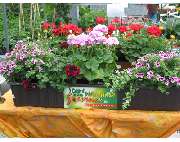 Pürzer Markus - GALLERY