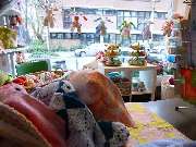 Pulliparty & Trullafabrik Beate Zwick-Ebner - 2