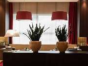 Pullman Cologne - GALLERY