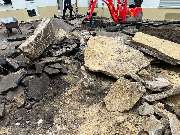 PULPOMANN GmbH - Lüttische Str