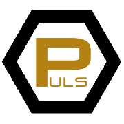 Puls Bauunternehmung - 1