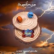 PupStyle - Lukas Mödl - GALLERY