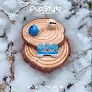PupStyle - Lukas Mödl - GALLERY