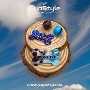 PupStyle - Lukas Mödl - GALLERY