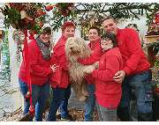 Pusteblume Blumen & Geschenke Erlangen - GALLERY