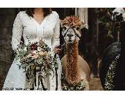 Pusteblume Blumen & Geschenke Erlangen - GALLERY