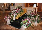 Pusteblume Blumen & Geschenke Erlangen - GALLERY