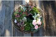 Pusteblume GmbH - GALLERY