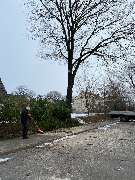 Querschläger Garten- und Landschaftsbau - 15