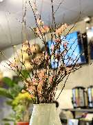 Quán Chè - GALLERY