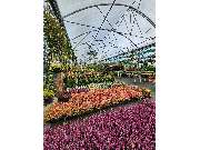 R.Wardenburg Gartenbau - GALLERY