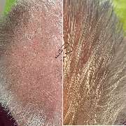 Raasant UG (haftungsbeschränkt) - GALLERY