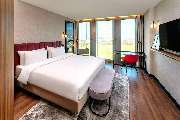 Radisson Blu Hotel at Porsche Design Tower Stuttgart - Standard Vineyard View