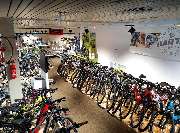 Radl Altmann - GALLERY