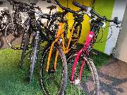 Radl Altmann - GALLERY