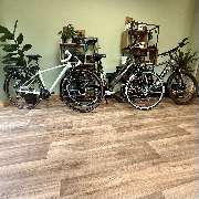 RadOase Dresden - Fahrradladen mit Herz - GALLERY