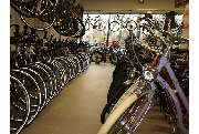 Radsport Kotyrba - GALLERY