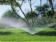 raindrop & garden GmbH - 2