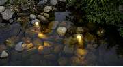 raindrop & garden GmbH - 3
