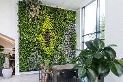 raindrop & garden GmbH - 7