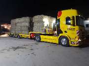 Rainer GmbH & Co. KG - 11