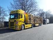 Rainer GmbH & Co. KG - 23