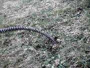 Rainer Strauß Abwassertechnik - GALLERY