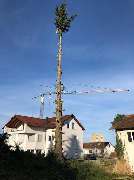 Rama - Baumfällung & Garten- und Landschaftsbau Ditzingen - GALLERY