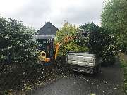 Randewig Garten- & Landschaftsbau - 10