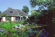 Raschpichler Gartenbau Gbr - GALLERY