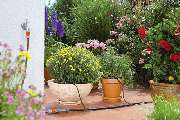 Raschpichler Gartenbau Gbr - GALLERY