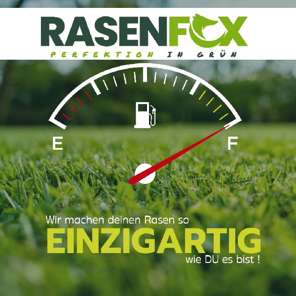 Rasenfox.de - GALLERY
