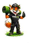 Rasenfox.de - GALLERY