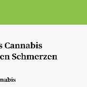 Ratgeber Cannabis - GALLERY