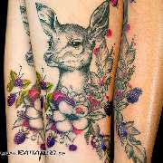 Bild von Rattattoo Freiburg Tattoo in Freiburg im Breisgau - 18