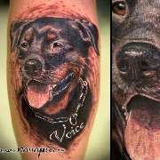 Hundeportrait auf der Wade aus dem Rattattoo Tattoostudio in Freiburg.