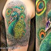 Pfau auf dem Arm aus dem Rattattoo Tattoostudio in Freiburg.