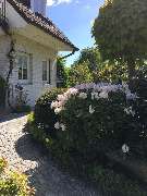 Ratzeburg Ferienwohnung mit Seeblick - 12